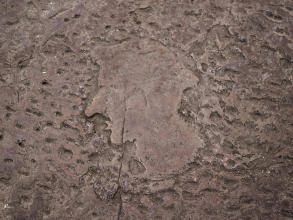 Fente a la Casa de Dante se encuentra una baldosa con la silueta de su rostro