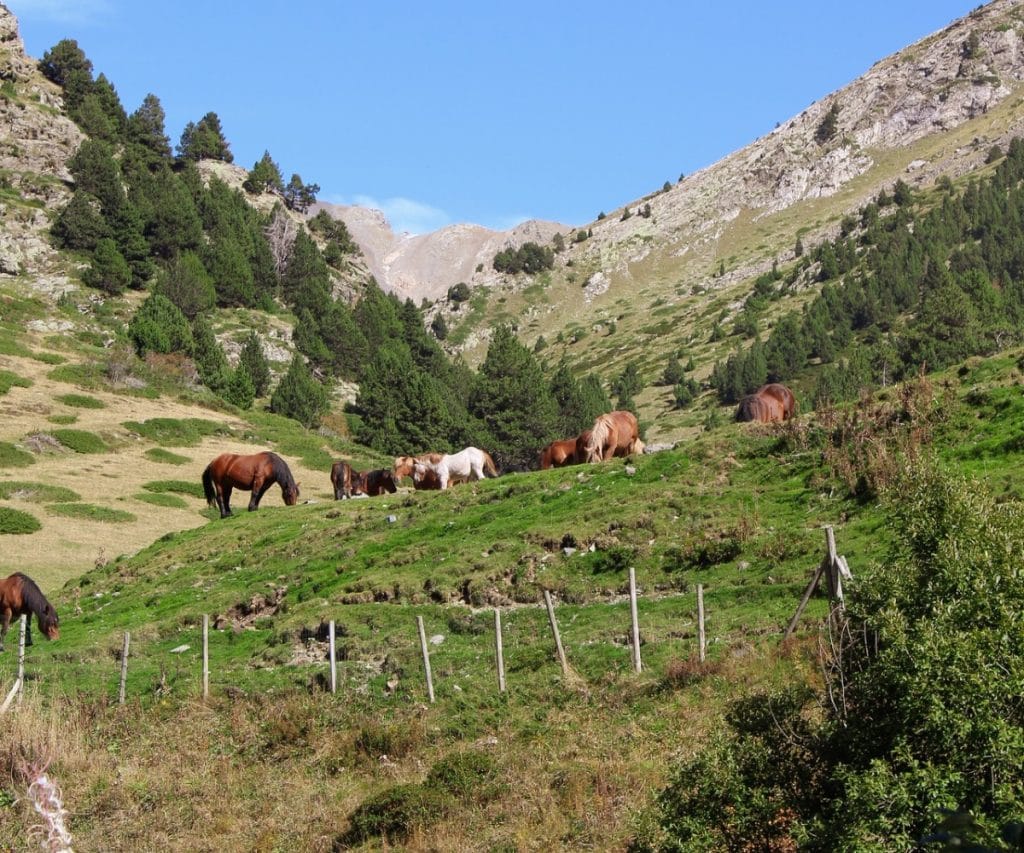 Paisajes Vall de Núria
