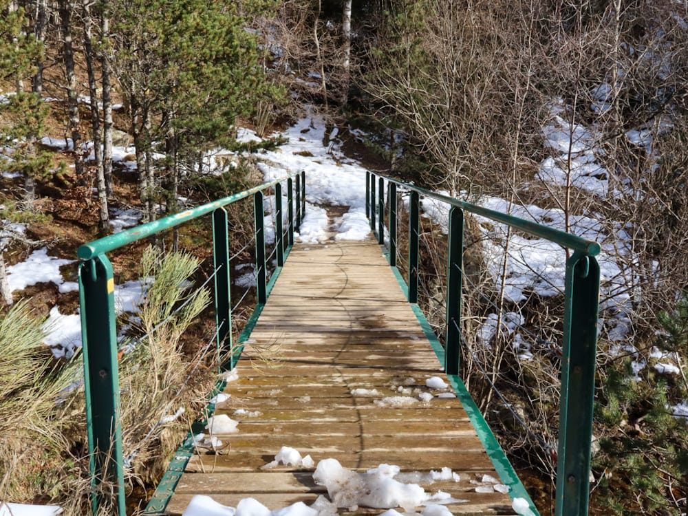 Pasarela de la ruta del río Carboner, Setcases